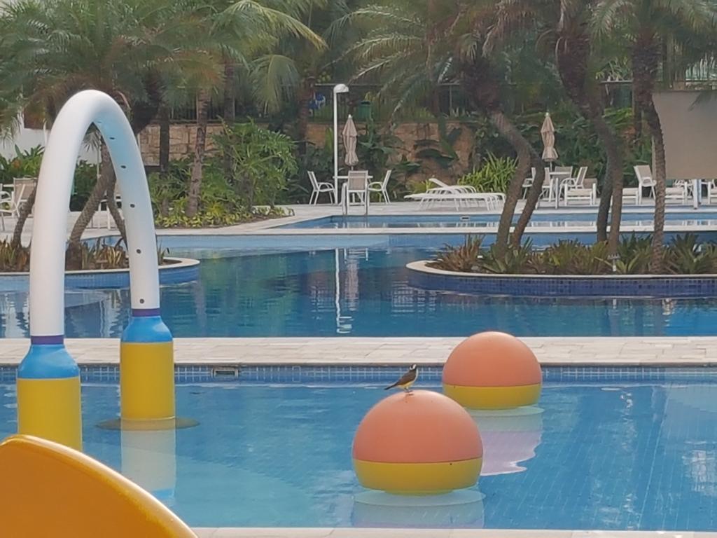 Sweet Comfort Apartment In Rio Ріо-де-Жанейро Екстер'єр фото